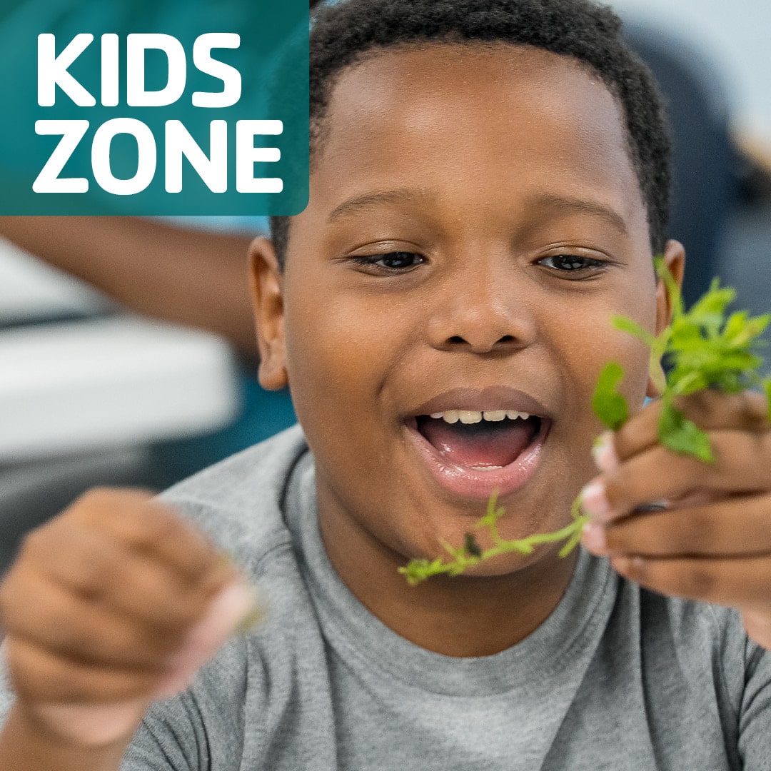 Happy child smiling while holding a small green plant, with a teal 'KIDS ZONE' banner in the top-left corner.